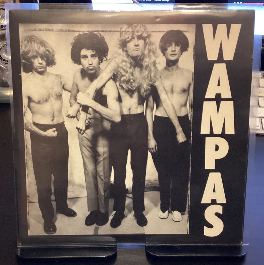 Jaquette du 45 tours des Wampas touche pipi 